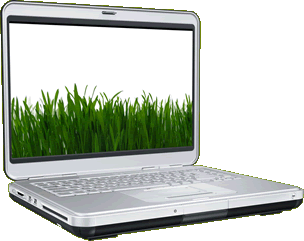 Grass On The Screen