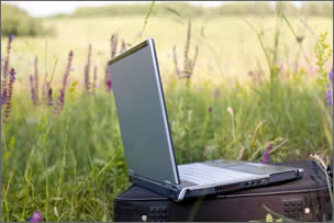 Laptop in a Meadow