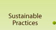 Sustainable Practices